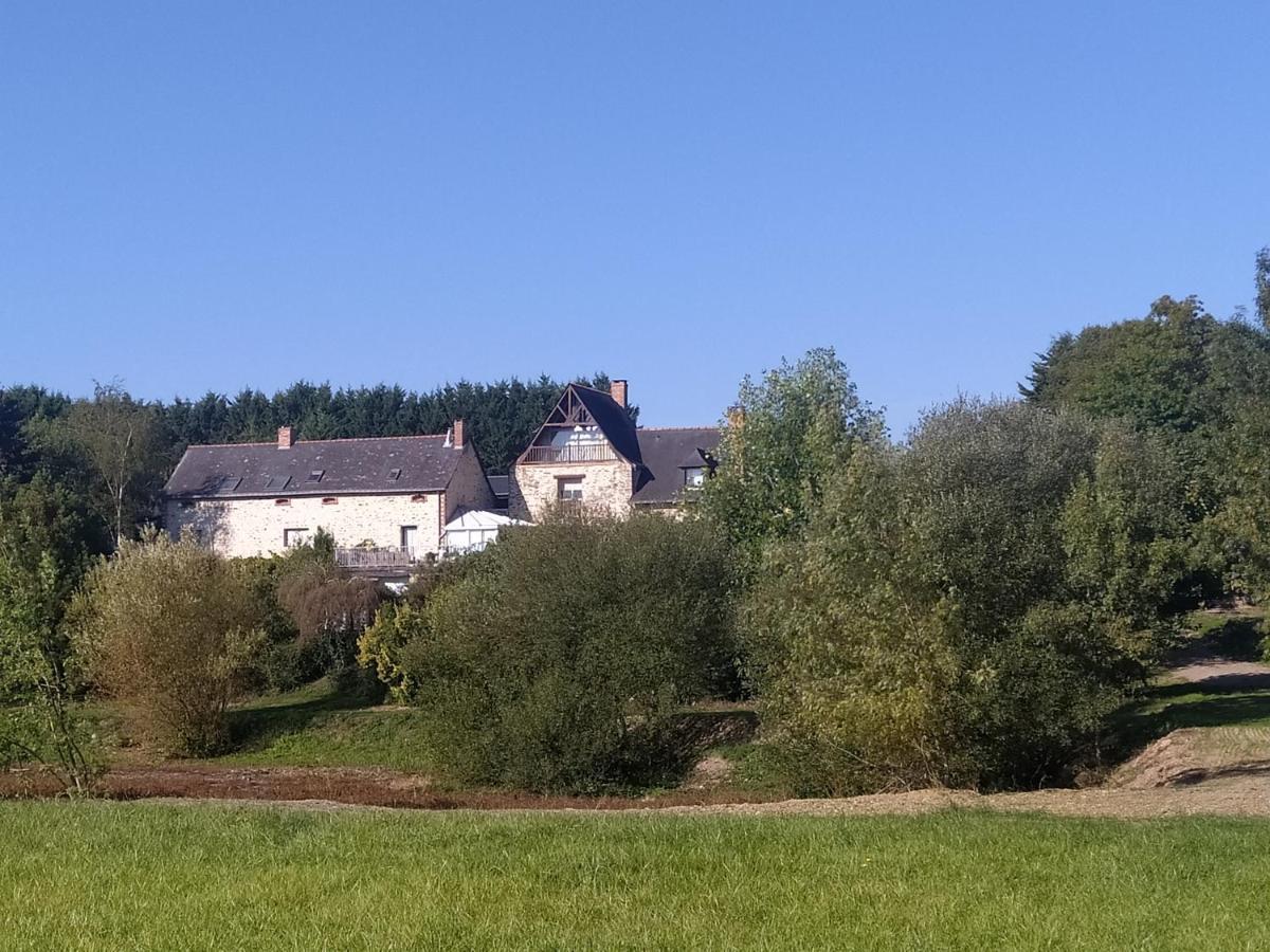 Gite La Pironniere - Piscine, Nature, Au Bord De La Riviere Montreuil-sur-Maine Exteriör bild